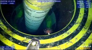 ROV camera view of a TLP tendon