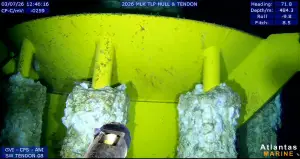 ROV camera view of marine growth on the TLP structure